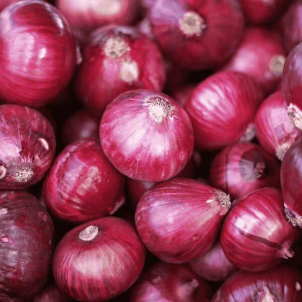 Fresh & Organic Onions (1Kg) – Flavorful & Chemical-Free