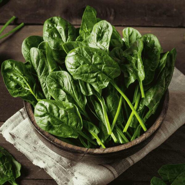 Fresh & Organic Spinach (0.5Kg) – Nutrient-Rich & Pesticide-Free